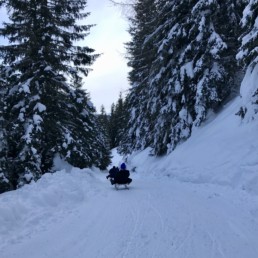 Sledging down the mountain in Davos - a sustainable way of traveling.